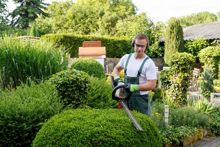 4 Services That Your Local Landscape Gardener Can Offer To The Typical