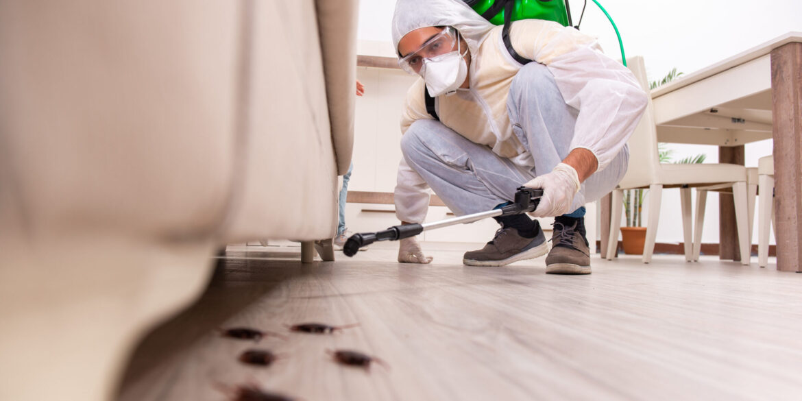 Commercial Pest Control in Philadelphia
